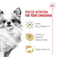 Royal Canin Chihuahua, piel y pelaje más sanos gracias a EPA, DHA y biotina.
