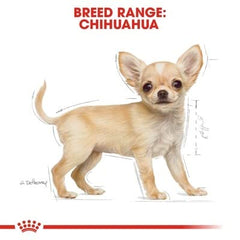 ROYAL CANIN Chihuahua Puppy, croqueta de tamaño compacto y aroma agradable.