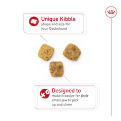 Royal Canin Dachshund Adult, croquetas de forma ergonómica para recoger fácilmente.