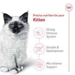 Royal Canin Gatito Apoyo Inmunológico con antioxidantes
