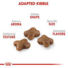 Royal Canin Gatito Croquetas Tamaño Pequeño facilita masticación
