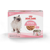 Royal Canin gatito: empaque con trozos finos en salsa para alimentación diaria.
