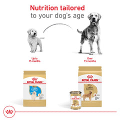 ROYAL CANIN Golden Retriever corazon-salud: sodio, taurina y L-carnitina para la salud cardíaca
