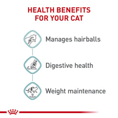 ROYAL CANIN Hairball Care Textura suave, ideal para gatos que prefieren comida húmeda