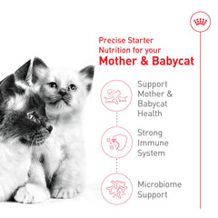 Royal Canin croquetas rehidratables que facilitan la transición de leche a sólido.