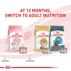Royal Canin para gatitos en salsa, textura blanda.