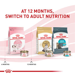 Textura suave de Royal Canin Kitten Loaf: fácil de masticar para gatitos.