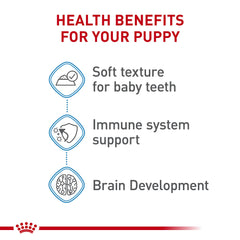 Royal Canin Mousse en Salsa: antioxidantes para defensas naturales