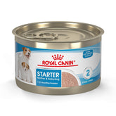 Royal Canin Mousse en Salsa: textura suave para transición de cachorros