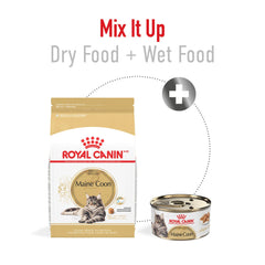 Royal Canin Maine Coon Adulta Seco: pelaje brillante gracias a la nutrición de calidad.