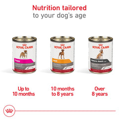 Trozos en gel de Royal Canin Mature, aroma atractivo para mayores.