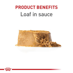 Royal Canin Puppy Loaf en Salsa, cuenco servido con colores naturales.