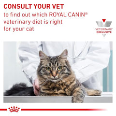 Royal Canin Renal Support E: ingredientes clave y perfil nutricional.