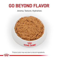 Royal Canin Renal Support T textura pate suave, favorece la ingesta