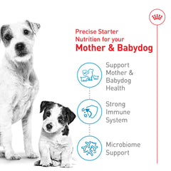 Consistencia tipo puré de Royal Canin Small Starter para lactancia y destete.