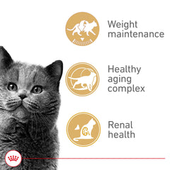 ROYAL CANIN textura fácil de masticar favorece la alimentación diaria.
