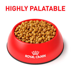 Royal Canin Urinary SO: bolsa de alimento seco para perros abierta