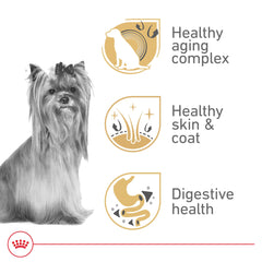 Royal Canin Yorkshire Terrier 8+ tazón de comida facilita la alimentación diaria