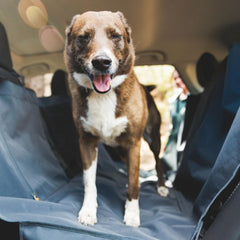 Ruffwear Dirtbag modo hamaca para coche con visibilidad