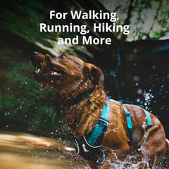 Arnés Ruffwear Flagline, banda reflectiva, mejora visibilidad nocturna.