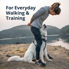 Ruffwear Front Range arnés perro espuma acolchado en pecho y vientre para comodidad