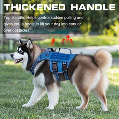RunFido arnés con sistema MOLLE para llevar accesorios durante caminatas.