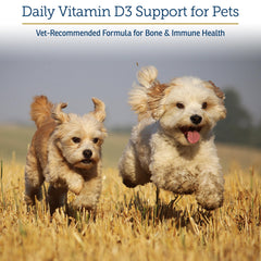 Rx Vitamins Rx D3 cuentagotas: entrega precisa para mascotas pequeñas y grandes.