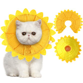 Sadnyy collar recuperacion girasol gato: proteccion suave tras cirugía