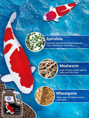 San Francisco Bay Brand Koi con probióticos para apoyo digestivo e inmunidad.