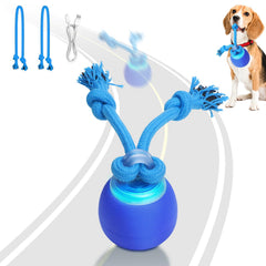Saolife: pelota interactiva con movimiento atrae al perro y fomenta juego activo.