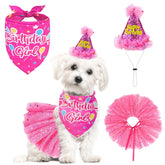 SCENEREAL bandana de cumpleaños para perros, enfoque bandana, ideal para fotos festivas.