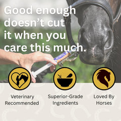 ScoopRX GI Rescue dosis para caballos mostrando aplicación práctica
