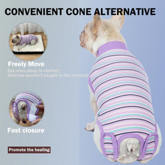Sebidtco opción sin cono para recuperación; mantiene al perro cómodo sin restringir movimiento.