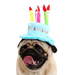 Secfanya sombrero pastel de cumpleaños para perro y gato, velas de colores para fotos divertidas.