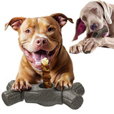 Sedioso soporte bully-stick para perros, seguro y duradero para masticar