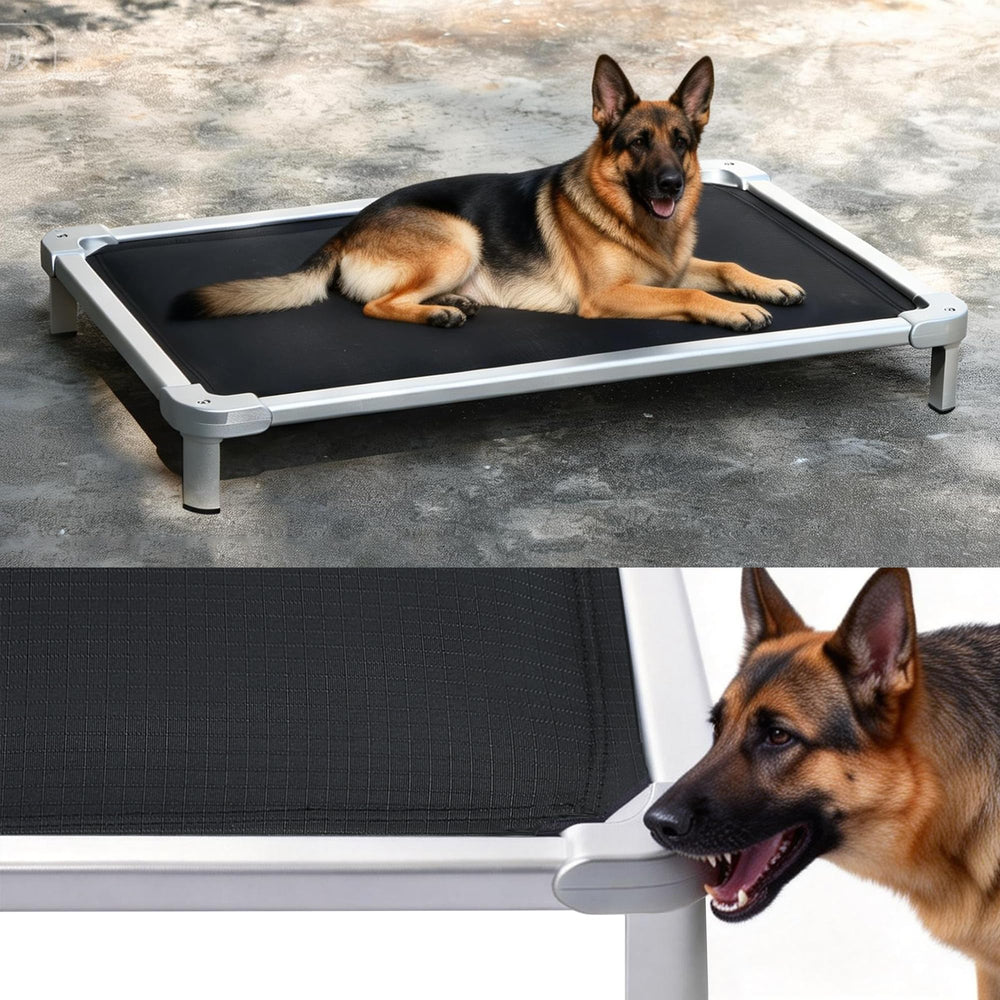 Senneny cama para perro elevada indestructible, ideal para uso interior y exterior.