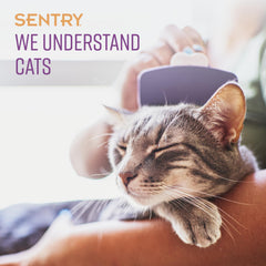SENTRY Calming Chews creamy interior featured for tasty stress relief.