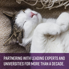 Serving SENTRY Calming Chews for Cats to help ease new environment jitters.