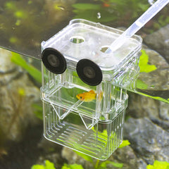 Senzeal caja criadora, vista superior, permite aislar peces agresivos sin estrés
