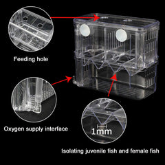 Caja de aislamiento con ventosas para fijación segura en el acuario Senzeal.