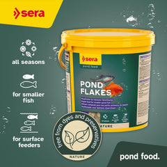 Sera Pond Flakes pez dorado comiendo copos, señal de alimentación suave.