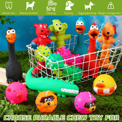Fáciles de limpiar: juguete Shappy de látex con chirrido para perros activos.