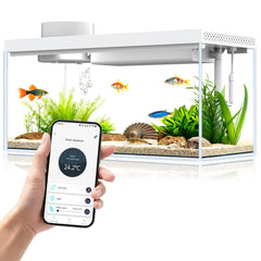Acuario de escritorio Sheawasy en vidrio claro para ver a tus peces