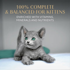 DHA para desarrollo cerebral en gatitos