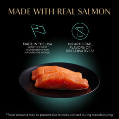 Pate suave de salmón para gatitos, mordida fácil
