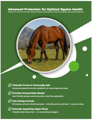 Aplicador de pasta Shevat Vitamins para caballos entrega precisa y segura.