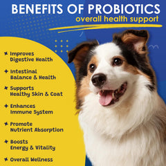 SHINEPAWS Probiotics con prebioticos y fibras para microbiota saludable