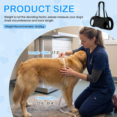 Shinylin arnés con malla Oxford para perro: diseño transpirable y cómodo