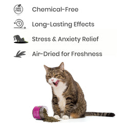 Entrenamiento con Shizhoo Catnip como refuerzo positivo.