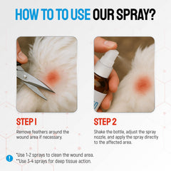 SILVER GRADE spray en gallina con herida, aplicación suave en pico y patas.